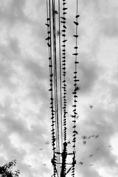 ���Ƽ�����Ƶ�����ǰ���򸻺���ݸ�Ĳ����� ��һ����8ǧ��(ͼ)...